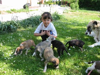 Niece Sara & U litter at 3 weeks