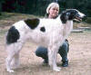 Ch Tarasov's Chenya Clarissa