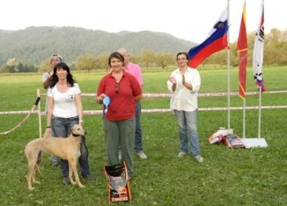 CACL Slovenian 2008
