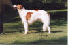 Marizela of Ninochka's