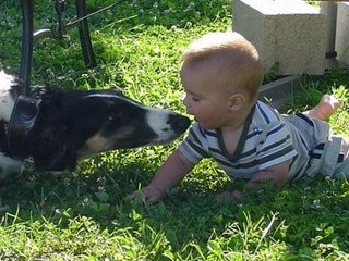 Vihra & An�e