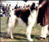 Orlow's Wonja