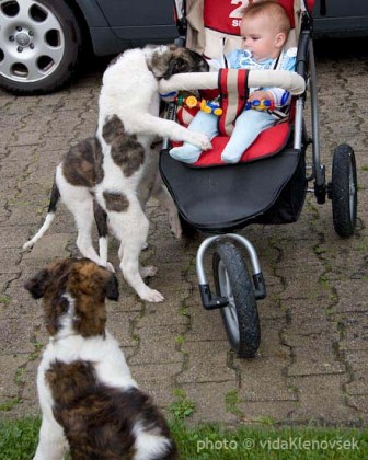 Z litter & An�e